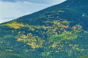 6842 Snowshoe Trail, Evergreen, CO 80439 - Photo 41