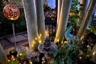 1200 Arapahoe Ave, Berthoud, CO 80513 - Photo 41