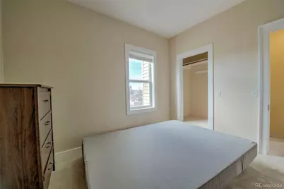 301 E 5th Street, Leadville, CO 80461 - Photo 21