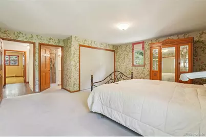 203 9th Street, Georgetown, CO 80444 - Photo 37