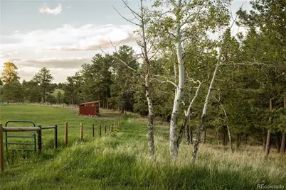 5276 Bear Mountain Drive, Evergreen, CO 80439 - Photo 29