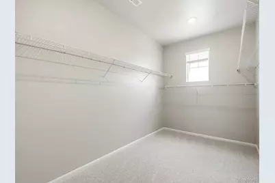 1609 Rumley Creek Drive, Windsor, CO 80550 - Photo 21