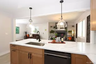 805 Perry St, Denver, CO 80204 - Photo 15