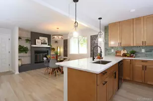 805 Perry St, Denver, CO 80204 - Photo 13