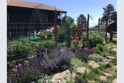 24597 Stanley Park Road, Evergreen, CO 80439 - Photo 7