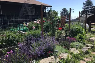 24597 Stanley Park Rd, Evergreen, CO 80439 - Photo 7