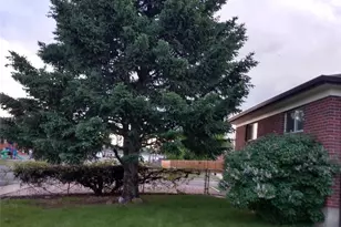 10642 Larson Dr, Northglenn, CO 80233 - Photo 29