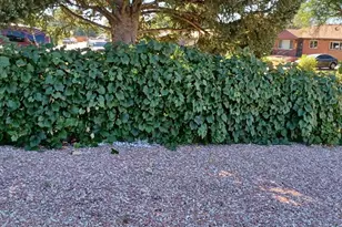 10642 Larson Dr, Northglenn, CO 80233 - Photo 27