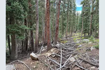 Lot 6621` Clinton Road, San Luis, CO 81152 - Photo 9