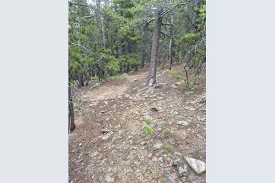 1900 County Road 128J, Nederland, CO 80466 - Photo 15