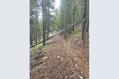 1900 County Road 128J, Nederland, CO 80466 - Photo 17