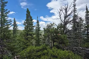 1900 Co Rd 128J, Nederland, CO 80466 - Photo 1