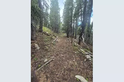 1900 County Road 128J, Nederland, CO 80466 - Photo 9