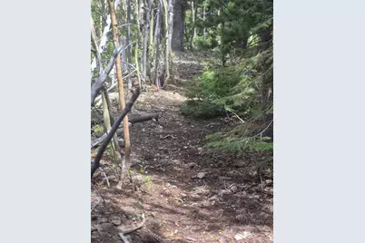 1900 County Road 128J, Nederland, CO 80466 - Photo 19