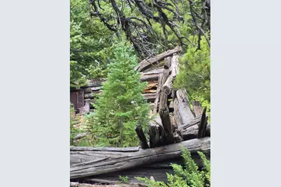 1900 County Road 128J, Nederland, CO 80466 - Photo 3