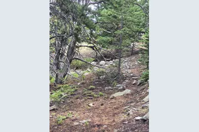 1900 County Road 128J, Nederland, CO 80466 - Photo 21