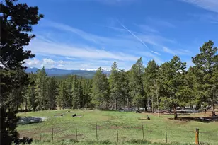 26 Howe Ct, Black Hawk, CO 80422 - Photo 47