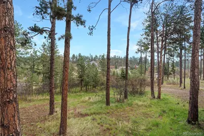 8170 Red Rock Court, Larkspur, CO 80118 - Photo 29
