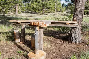 13101 N County Rd 73C, Red Feather Lakes, CO 80545 - Photo 29