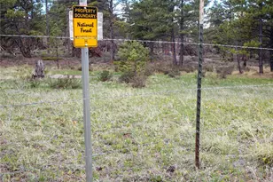 13101 N County Rd 73C, Red Feather Lakes, CO 80545 - Photo 31