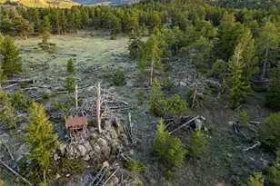 13101 N County Rd 73C, Red Feather Lakes, CO 80545 - Photo 33