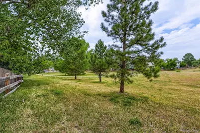 169 Clare Drive, Castle Pines, CO 80108 - Photo 35