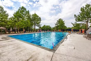 169 Clare Dr, Castle Pines, CO 80108 - Photo 41