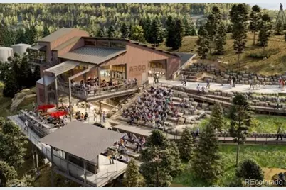 139 County Road 308, Dumont, CO 80436 - Photo 45