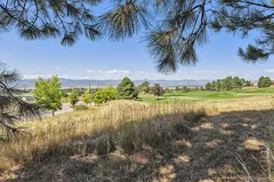 9073 Hunters Way, Highlands Ranch, CO 80129 - Photo 49