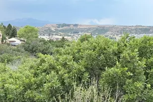 1307 Wildwood Ln, Castle Rock, CO 80104 - Photo 39