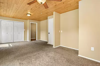 250 James Street, Buena Vista, CO 81211 - Photo 23
