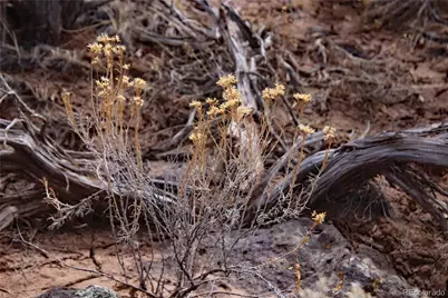 Lot 43 Shadow Trail, San Luis, CO 81152 - Photo 9