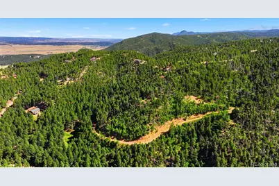 13464 S Firedog Way, Larkspur, CO 80118 - Photo 9