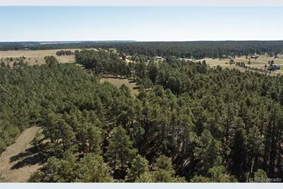 9040 Walker Road, Colorado Springs, CO 80908 - Photo 5
