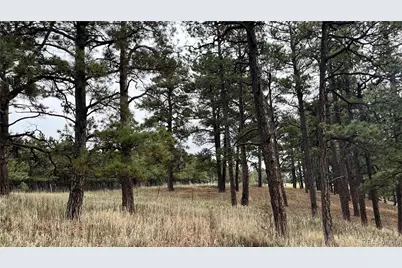 9040 Walker Road, Colorado Springs, CO 80908 - Photo 7