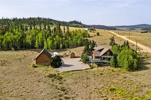 486 Turk Pony Way, Como, CO 80456 - Photo 3