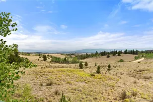 486 Turk Pony Way, Como, CO 80456 - Photo 47