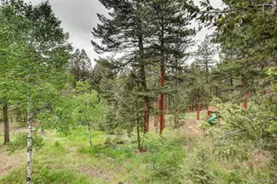 9209 William Cody Dr, Evergreen, CO 80439 - Photo 47