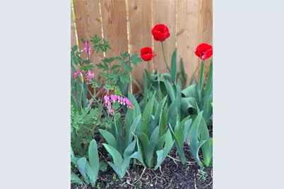 9221 Pierce Street, Broomfield, CO 80021 - Photo 43