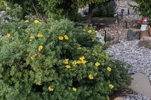 2430 S Fundy Cir, Aurora, CO 80013 - Photo 37