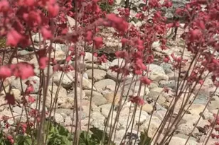 2430 S Fundy Cir, Aurora, CO 80013 - Photo 31