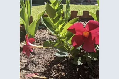 2430 S Fundy Circle, Aurora, CO 80013 - Photo 33