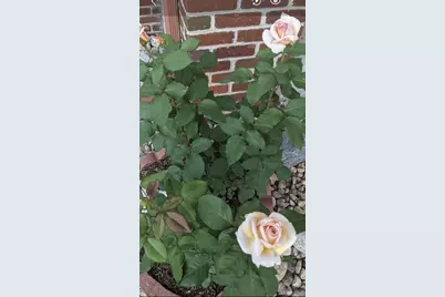 2430 S Fundy Circle, Aurora, CO 80013 - Photo 35