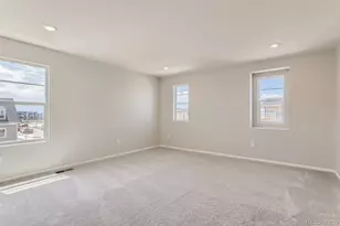 6302 N Fulton St, Denver, CO 80238 - Photo 13