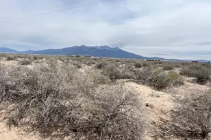 Tbd 35 Acres, Alamosa, CO 81101 - Photo 1