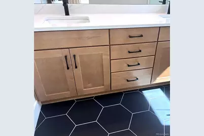 2867 S Pancratia Street, Denver, CO 80236 - Photo 9