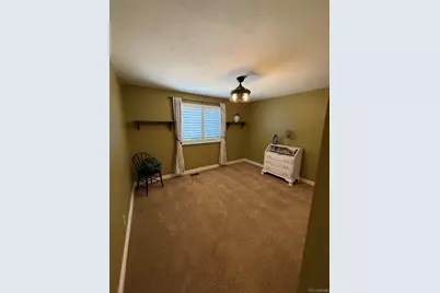 20197 Aintree Court, Parker, CO 80138 - Photo 31