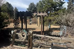 20197 Aintree Ct, Parker, CO 80138 - Photo 41