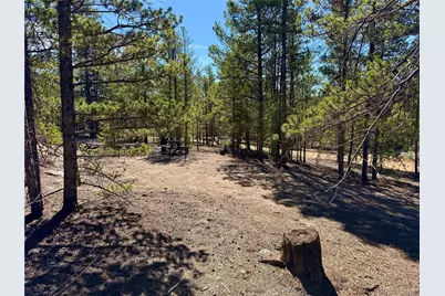 360 Peak View Drive, Leadville, CO 80461 - Photo 23