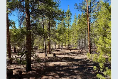 360 Peak View Drive, Leadville, CO 80461 - Photo 13